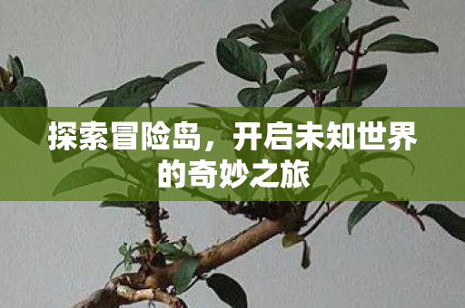 开启未知世界的奇妙之旅图片