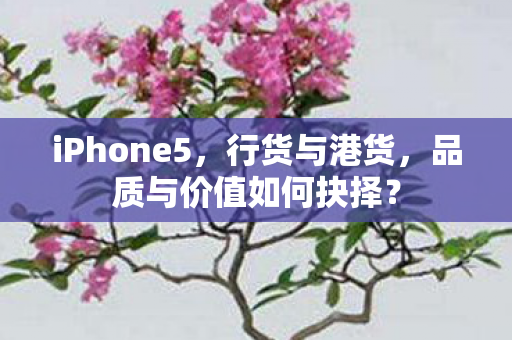 品质与价值如何抉择图片