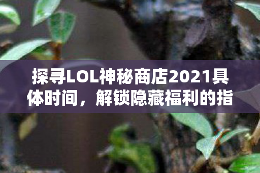 探寻LOL神秘商店2021具体时间图片