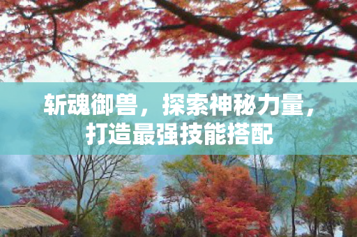 打造最强技能搭配图片