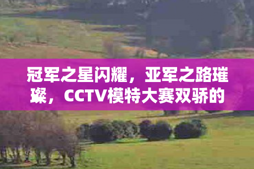 CCTV模特大赛双骄的辉煌征程图片