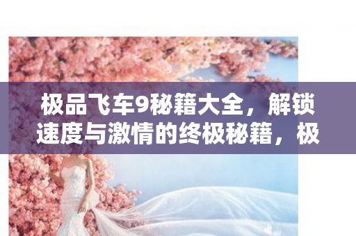极品飞车9秘籍大全,解锁速度与激情的终极秘籍,极品飞车9,解锁速度与激情的终极秘籍 极品飞车9秘籍大全,解锁速度与激情的终极秘籍,极品飞车9,解锁速度与激情的终极秘籍
