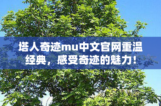 塔人奇迹mu中文官网重温经典图片