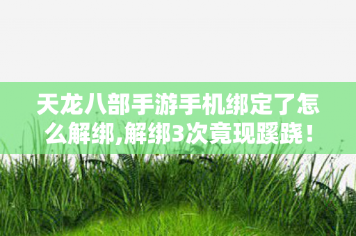 天龙八部手游手机绑定了怎么解绑,解绑3次竟现蹊跷!天龙八部私服身份证谜团让人后背发凉 天龙八部手游手机绑定了怎么解绑,解绑3次竟现蹊跷!天龙八部私服身份证谜团让人后背发凉