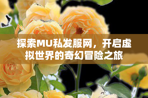 开启虚拟世界的奇幻冒险之旅图片