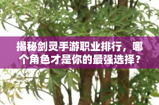 哪个角色才是你的最强选择图片