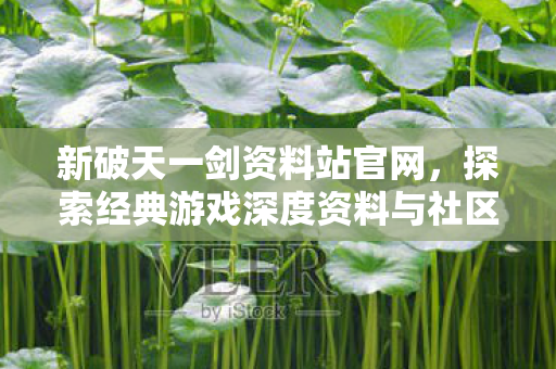 探索经典游戏深度资料与社区互动图片