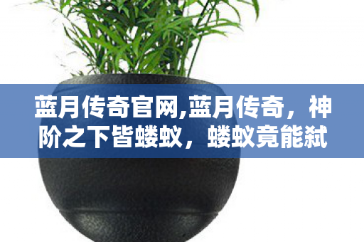 自由意志的终极悖论图片