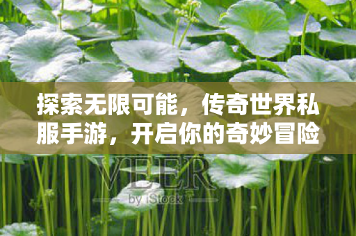 开启你的奇妙冒险之旅图片