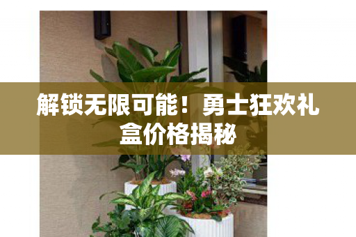 勇士狂欢礼盒价格揭秘图片