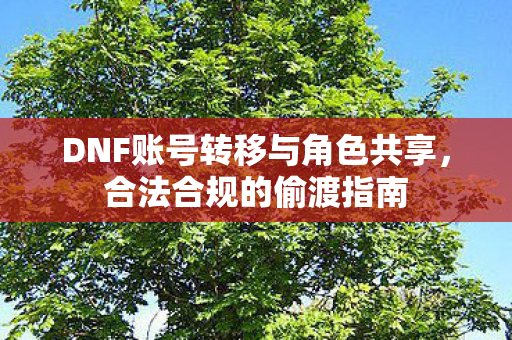 DNF账号转移与角色共享图片