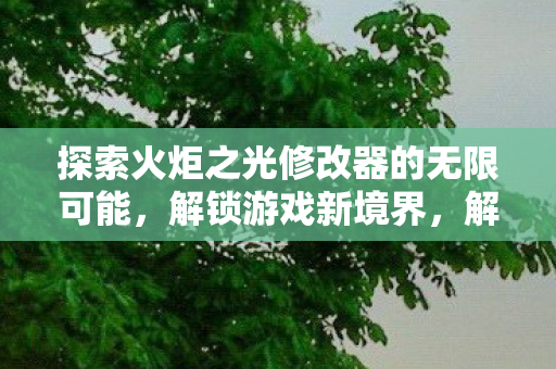 探索火炬之光修改器的无限可能图片