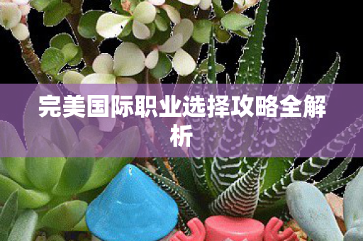 完美国际职业选择攻略全解析图片