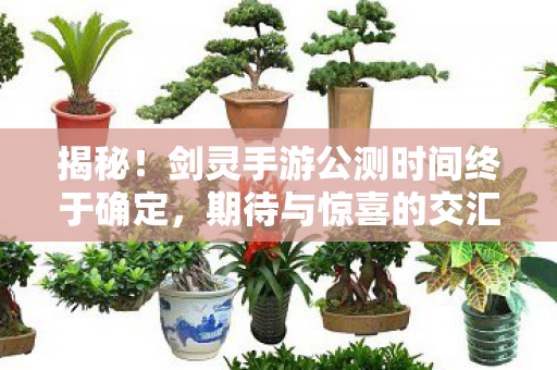 剑灵手游公测时间终于确定图片