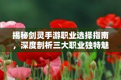 深度剖析三大职业独特魅力与玩法策略图片