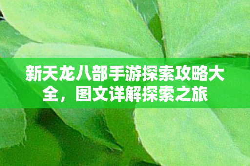 新天龙八部手游探索攻略大全图片