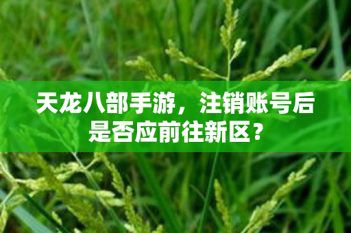 注销账号后是否应前往新区图片