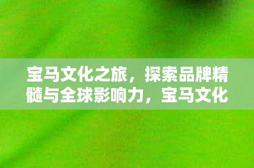 探索品牌精髓与全球影响力图片