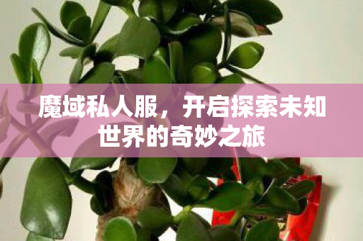 开启探索未知世界的奇妙之旅图片