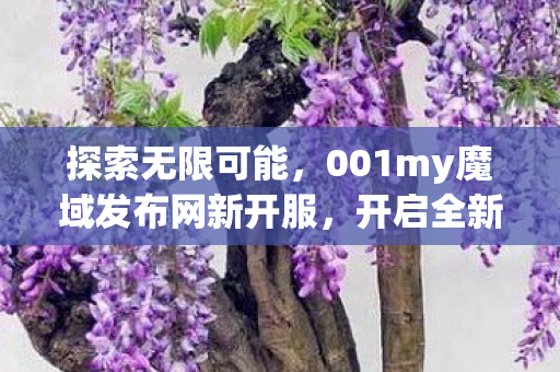 001my魔域发布网新开服图片