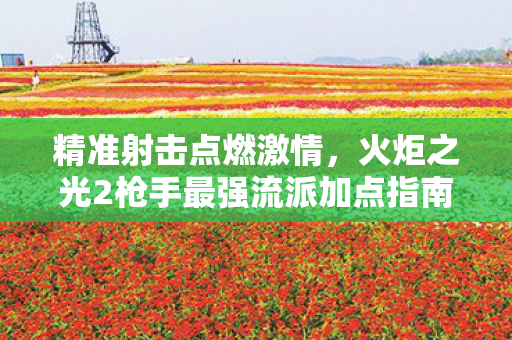 火炬之光2枪手最强流派加点指南图片