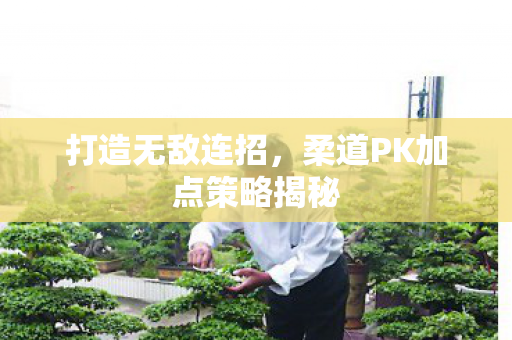 柔道PK加点策略揭秘图片