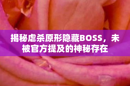 揭秘虐杀原形隐藏BOSS图片