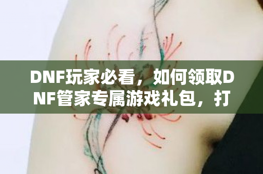 如何领取DNF管家专属游戏礼包图片