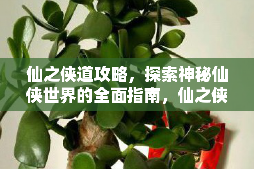 探索神秘仙侠世界的全面指南图片