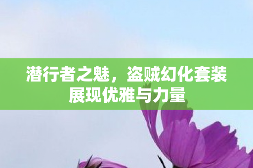盗贼幻化套装展现优雅与力量图片