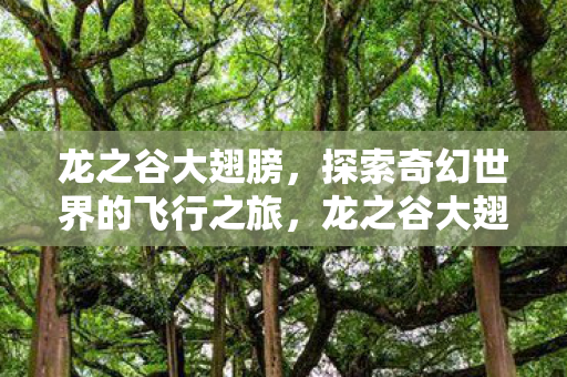 探索奇幻世界的飞行之旅图片