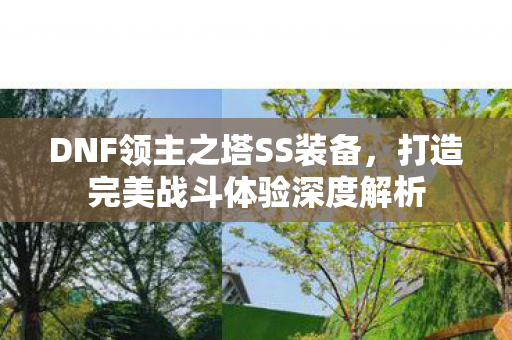 打造完美战斗体验深度解析图片