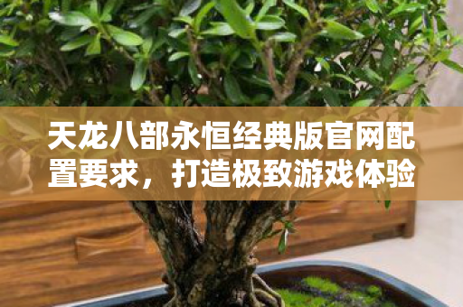 天龙八部永恒经典版官网配置要求图片