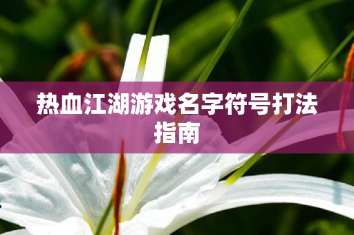 热血江湖游戏名字符号打法指南图片