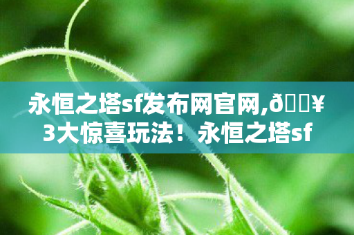 永恒之塔sf发布网官网图片