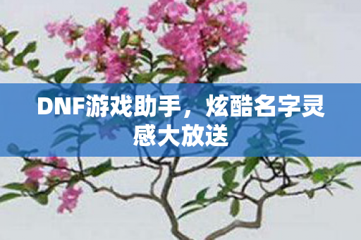 炫酷名字灵感大放送图片
