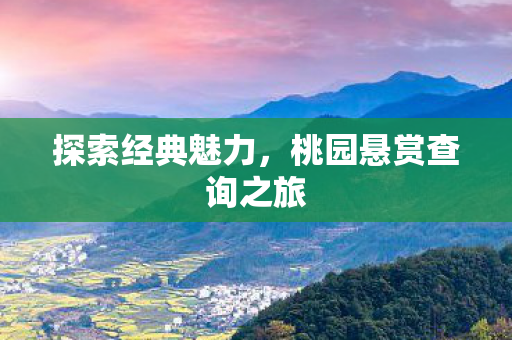 桃园悬赏查询之旅图片