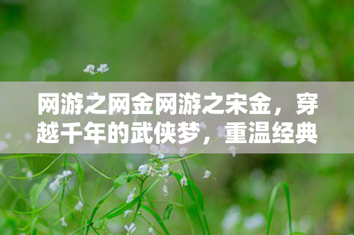 网游之网金网游之宋金图片
