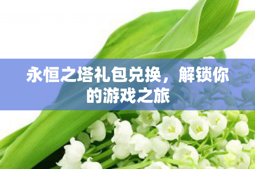 永恒之塔礼包兑换图片
