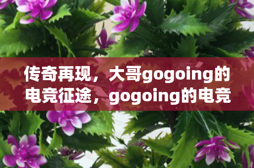 传奇再现,大哥gogoing的电竞征途,gogoing的电竞传奇征途 传奇再现,大哥gogoing的电竞征途,gogoing的电竞传奇征途