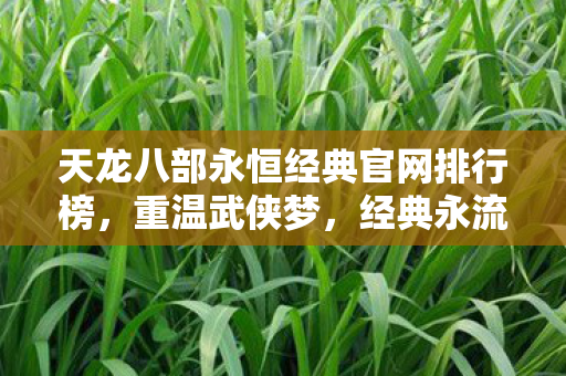 天龙八部永恒经典官网排行榜图片