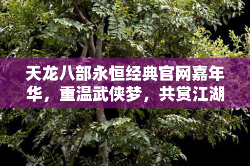 天龙八部永恒经典官网嘉年华图片