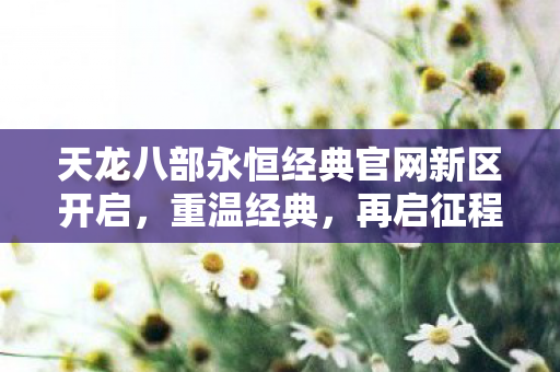 天龙八部永恒经典官网新区开启图片
