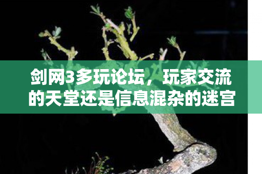 玩家交流的天堂还是信息混杂的迷宫图片