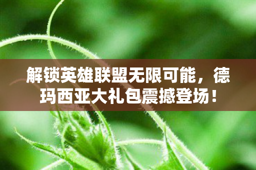 德玛西亚大礼包震撼登场图片