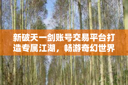 新破天一剑账号交易平台打造专属江湖图片