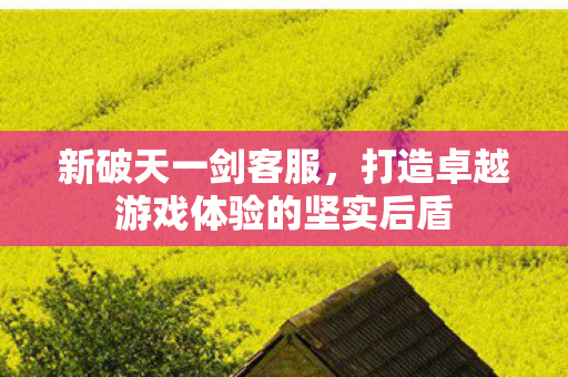 打造卓越游戏体验的坚实后盾图片