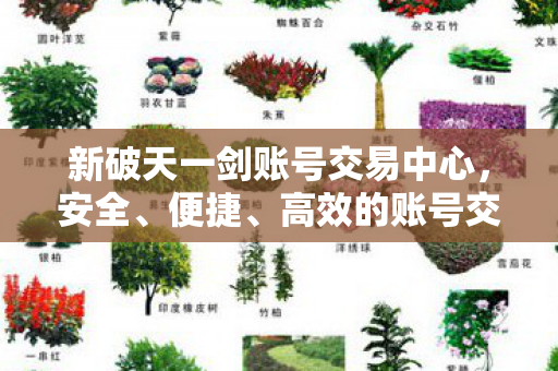 新破天一剑账号交易中心图片