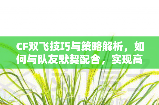 CF双飞技巧与策略解析图片