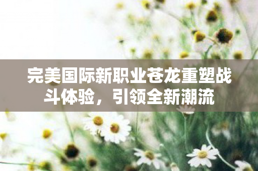 完美国际新职业苍龙重塑战斗体验图片